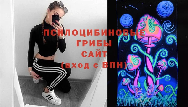 стафф Заволжск