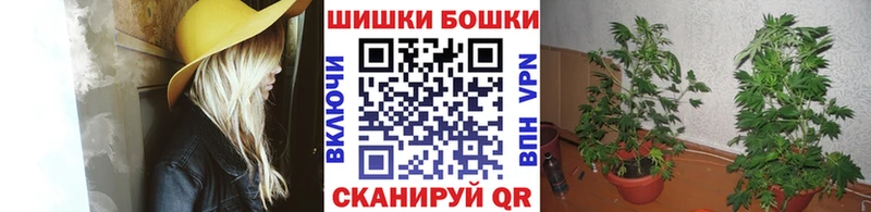 Конопля индика Тейково